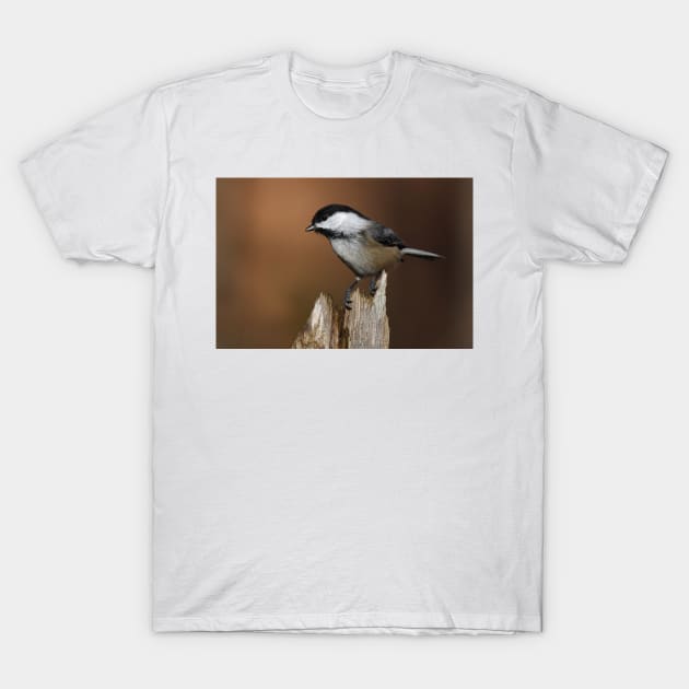 Chickadee T-Shirt by Jim Cumming